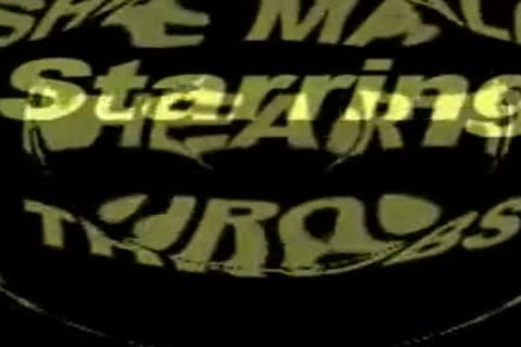 wild Sex With t-girls Outdoor