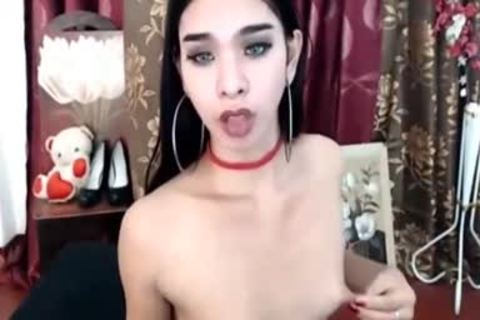 filthy small Tit Ladyboy cam