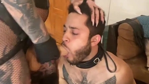 mastix, Transexual, And bondman