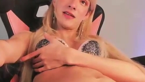 Petite Trans gal In lingerie Tugs Her gigantic penis On web camera